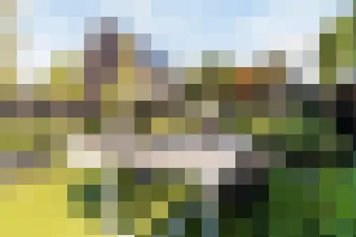Reginastraat 15 Hengelo thumbnail 42