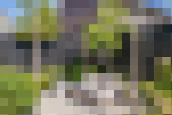Reginastraat 15 Hengelo thumbnail 43
