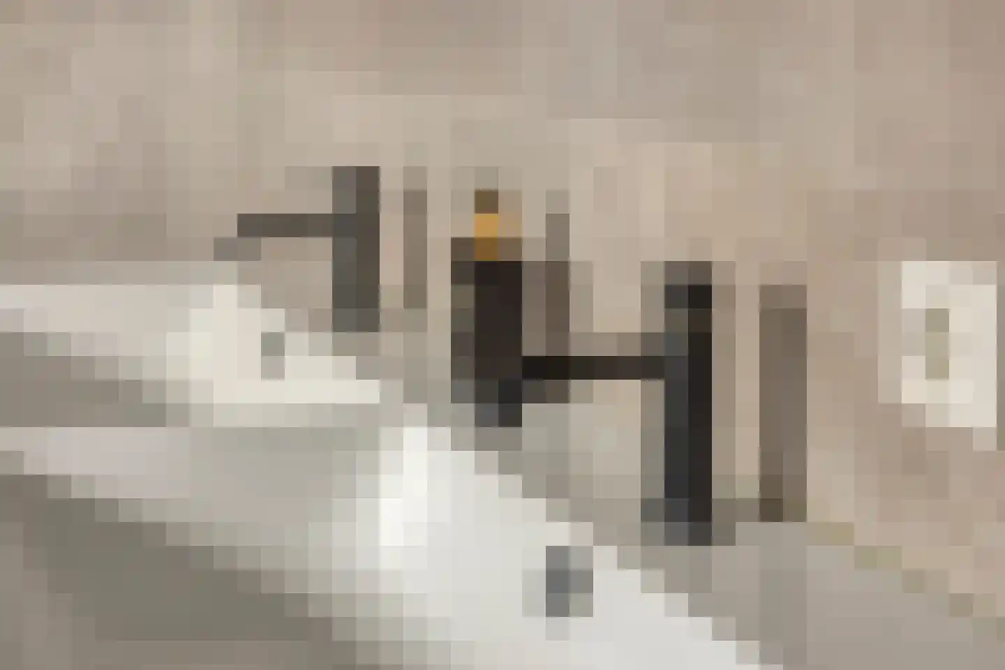 Reginastraat 2 Hengelo thumbnail 22