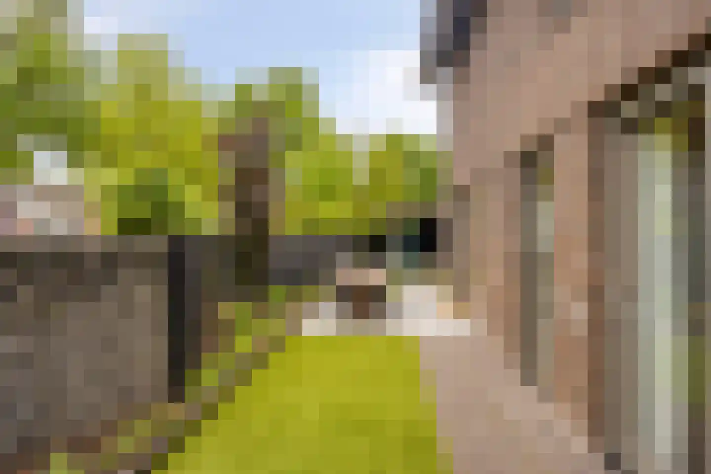 Reginastraat 2 Hengelo thumbnail 29