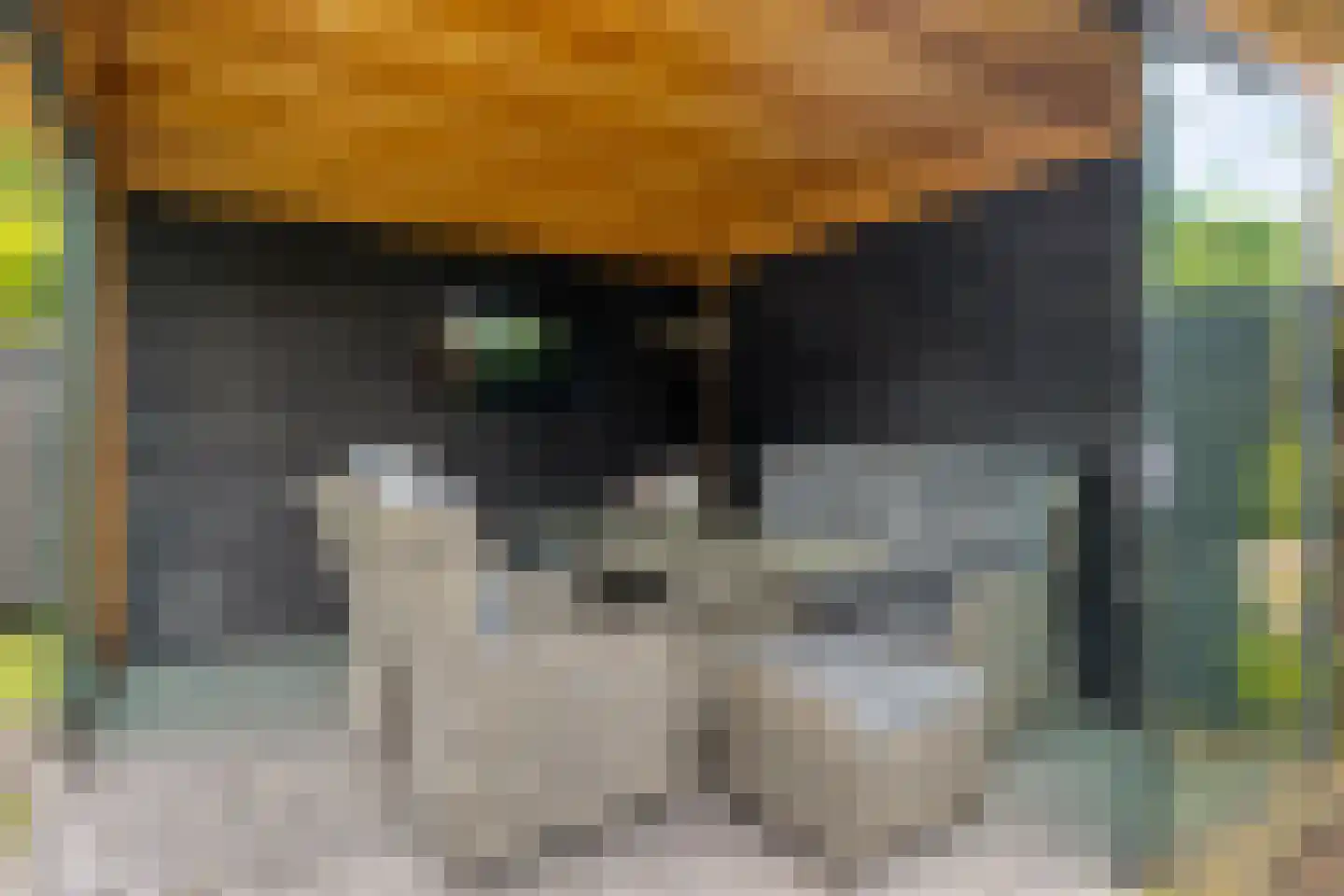 Reginastraat 2 Hengelo thumbnail 32