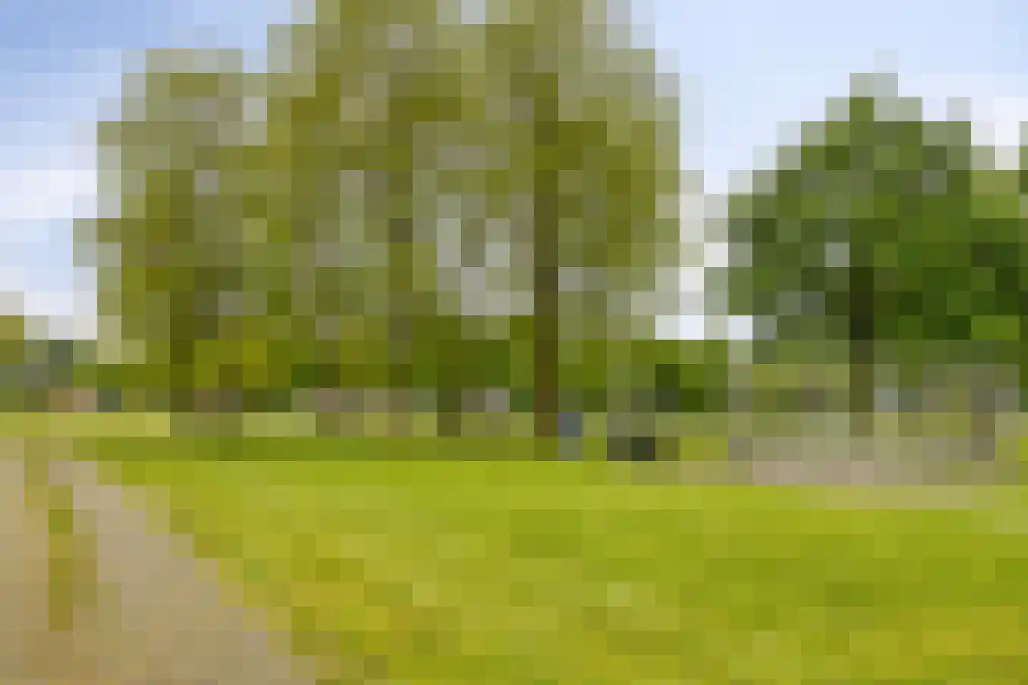 Reginastraat 2 Hengelo thumbnail 34
