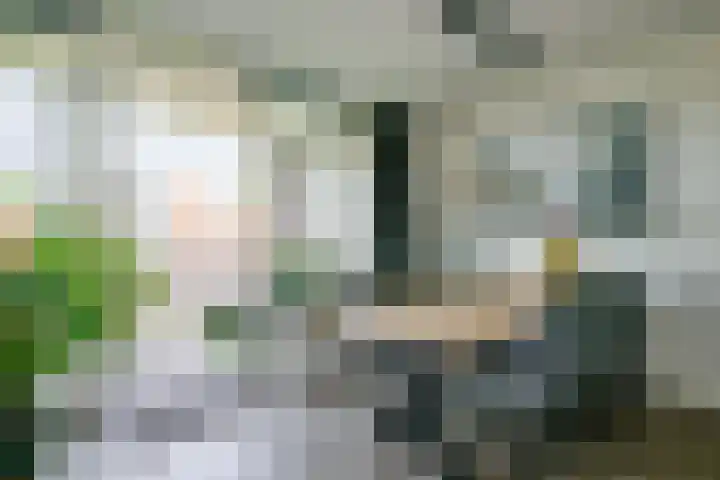 Regioplein 109 Schagen thumbnail 10