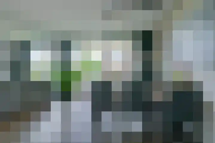 Regioplein 109 Schagen thumbnail 14
