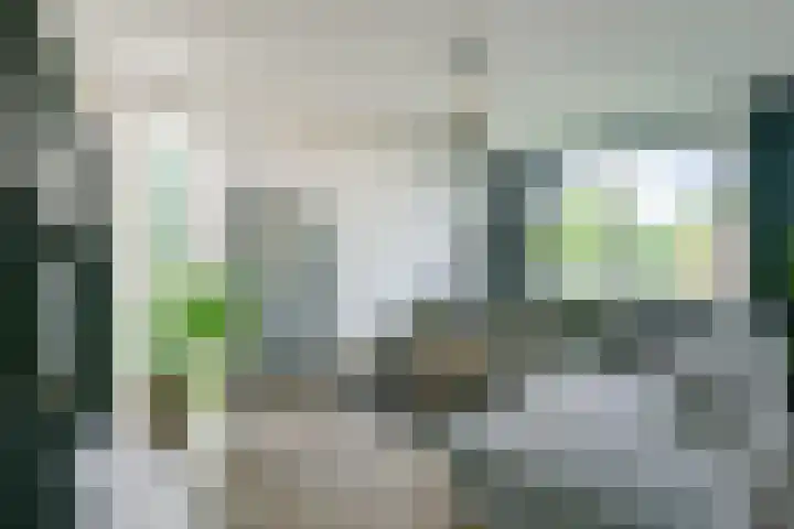Regioplein 109 Schagen thumbnail 6