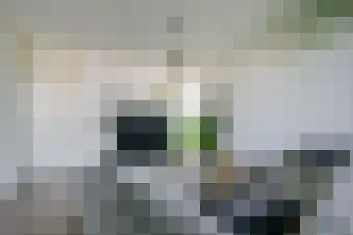 Regioplein 109 Schagen thumbnail 7