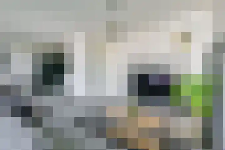 Regioplein 109 Schagen thumbnail 8