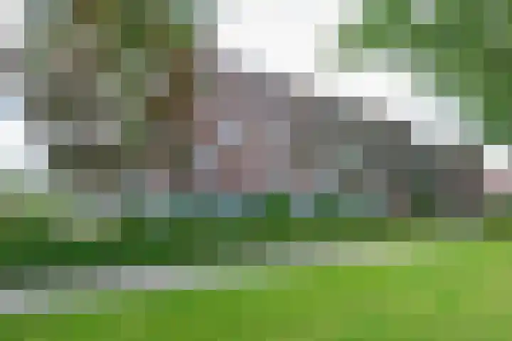Regioplein 47 Schagen thumbnail 31