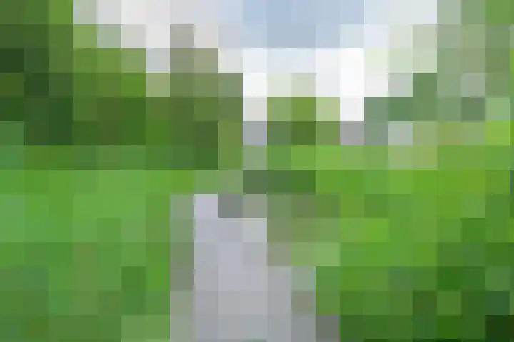 Regioplein 47 Schagen thumbnail 33