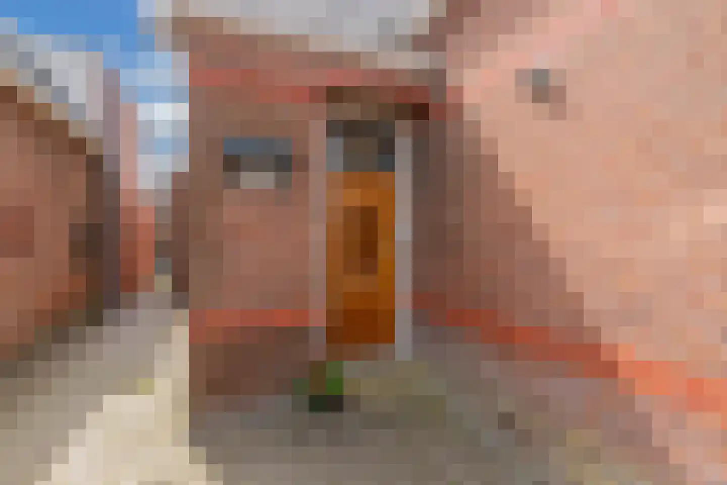 Regnerus Meinardystraat 2 Kollum thumbnail 15
