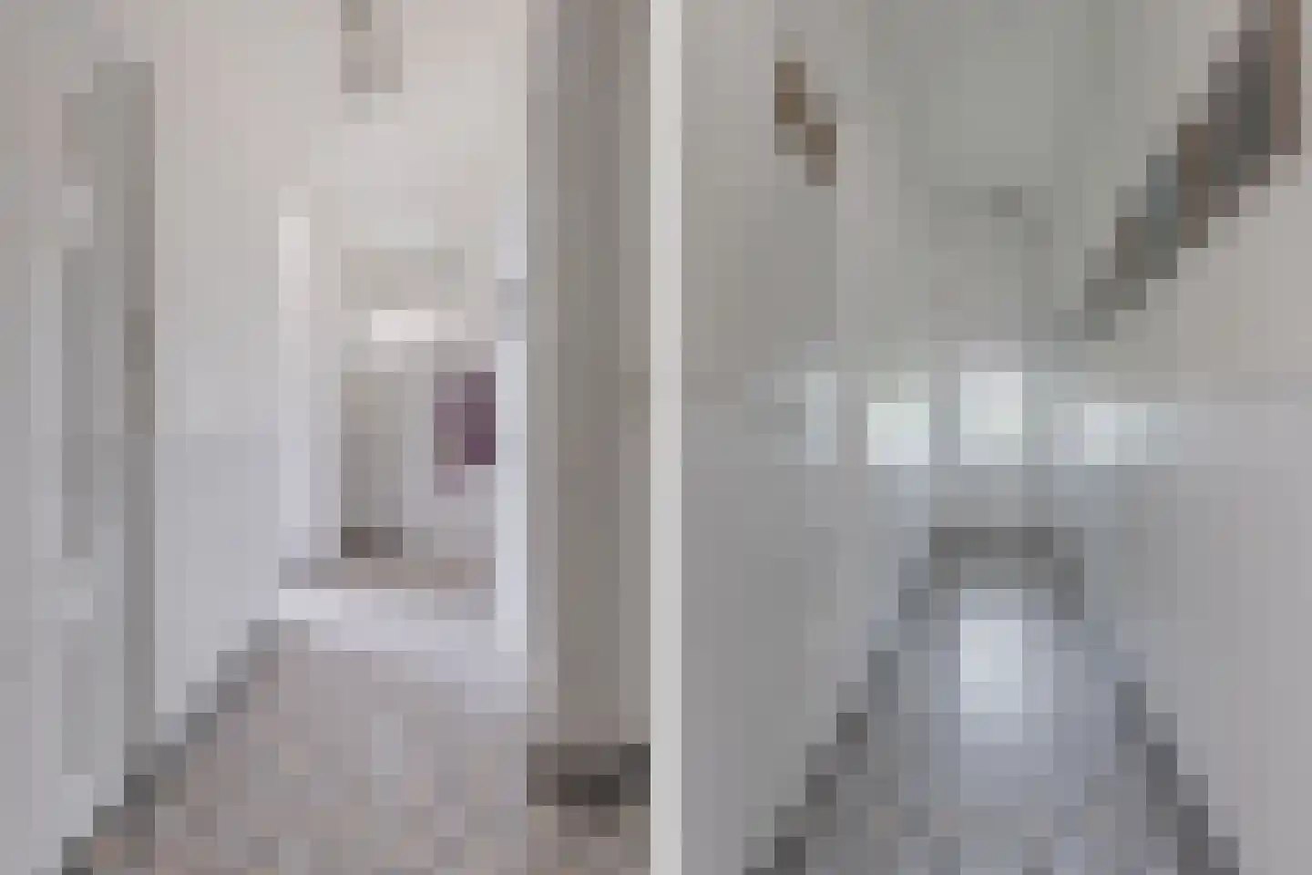 Regnerus Meinardystraat 2 Kollum thumbnail 18
