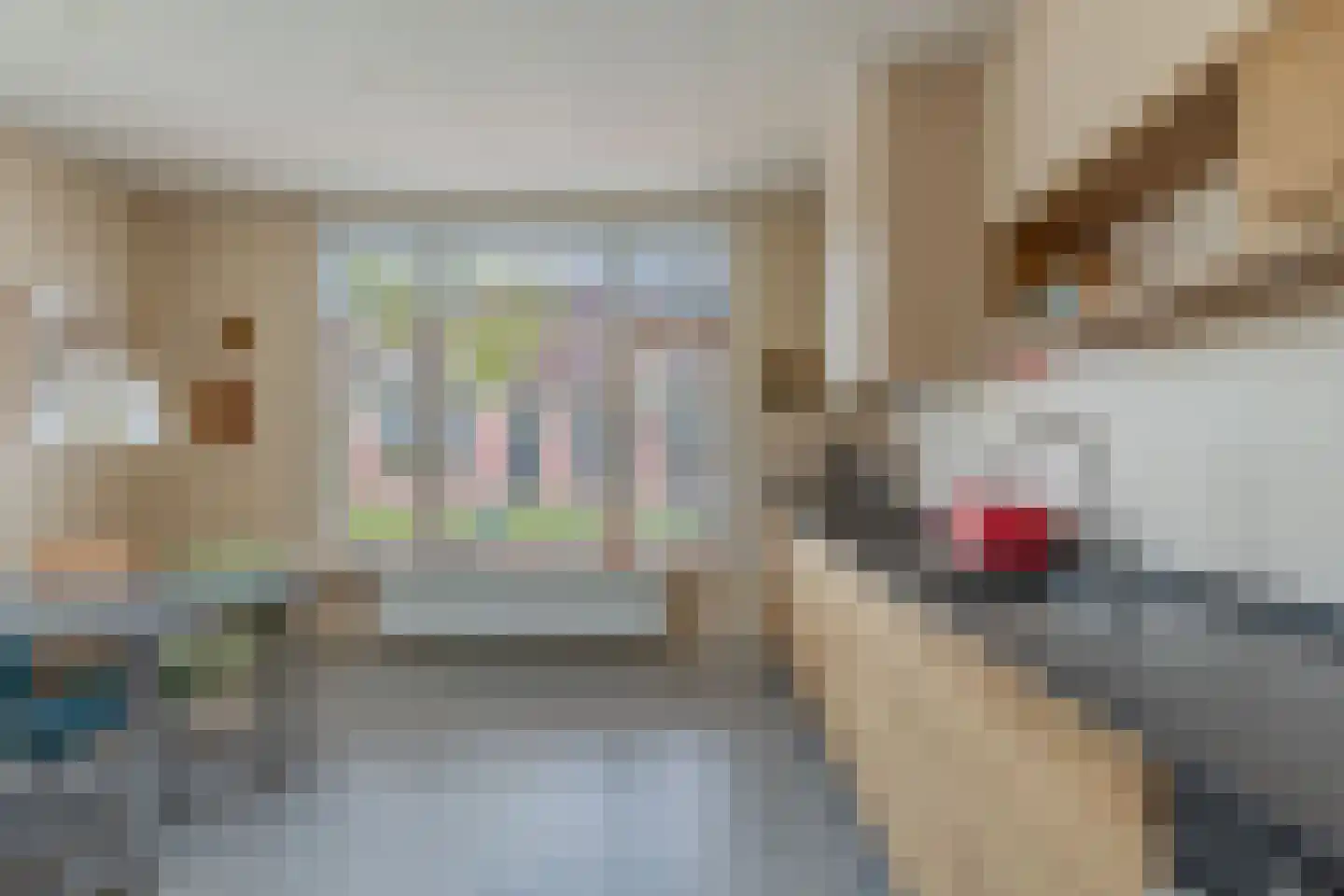 Regnerus Meinardystraat 2 Kollum thumbnail 20