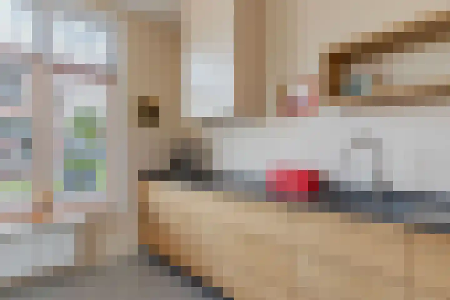 Regnerus Meinardystraat 2 Kollum thumbnail 22