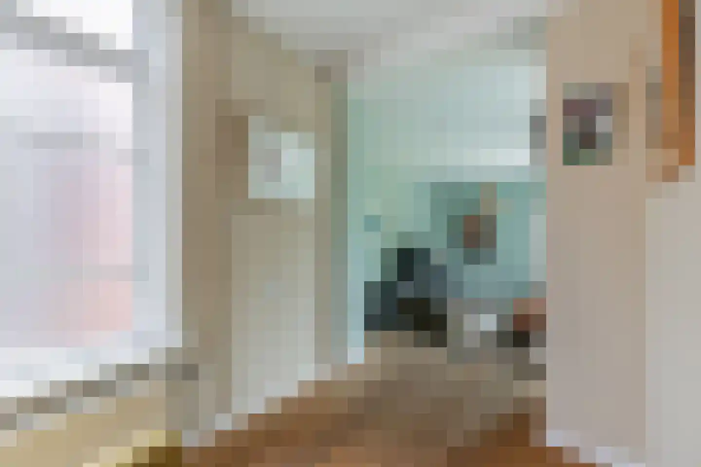 Regnerus Meinardystraat 2 Kollum thumbnail 33