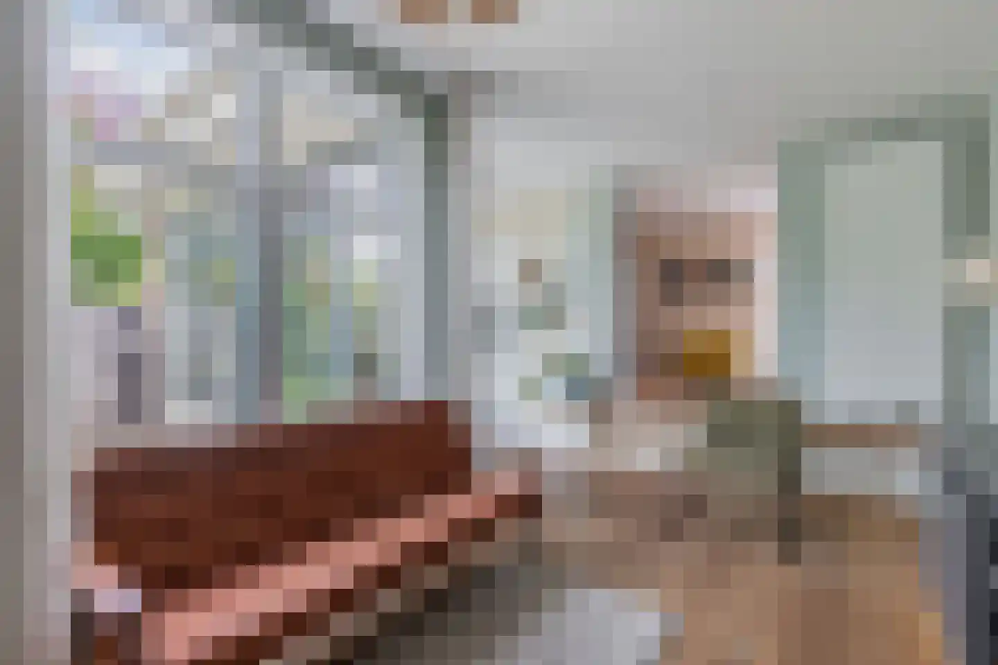 Regnerus Meinardystraat 2 Kollum thumbnail 34