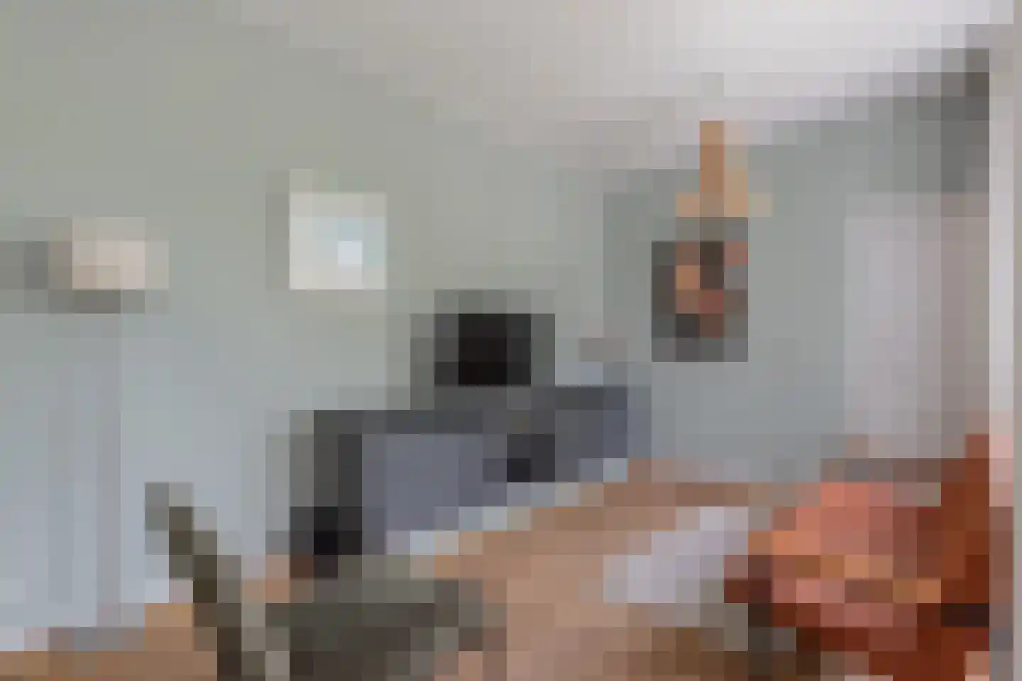 Regnerus Meinardystraat 2 Kollum thumbnail 35