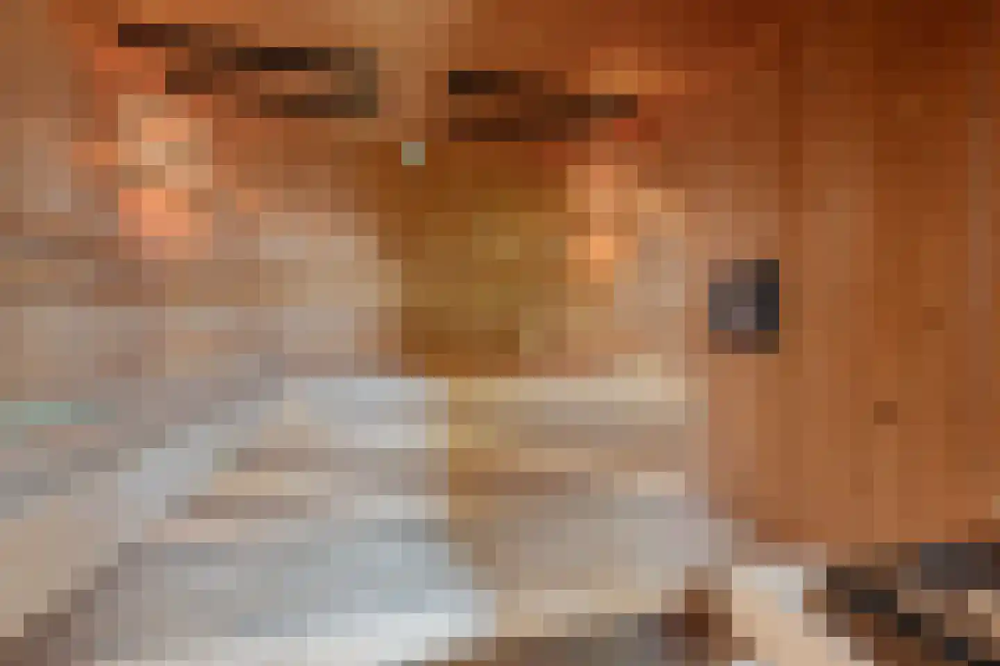 Regnerus Meinardystraat 2 Kollum thumbnail 37