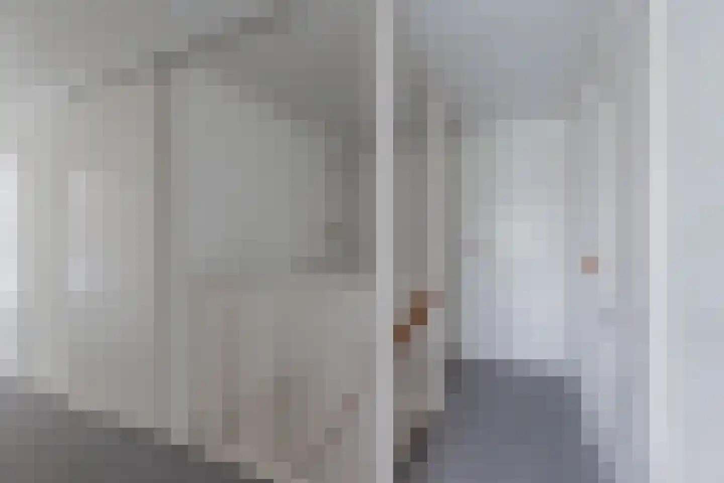 Regnerus Meinardystraat 2 Kollum thumbnail 38