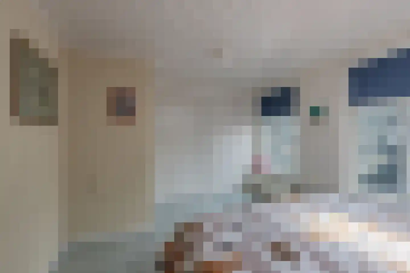 Regnerus Meinardystraat 2 Kollum thumbnail 41