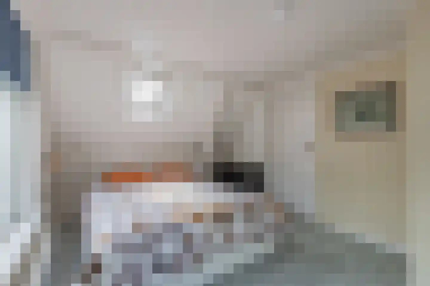 Regnerus Meinardystraat 2 Kollum thumbnail 42