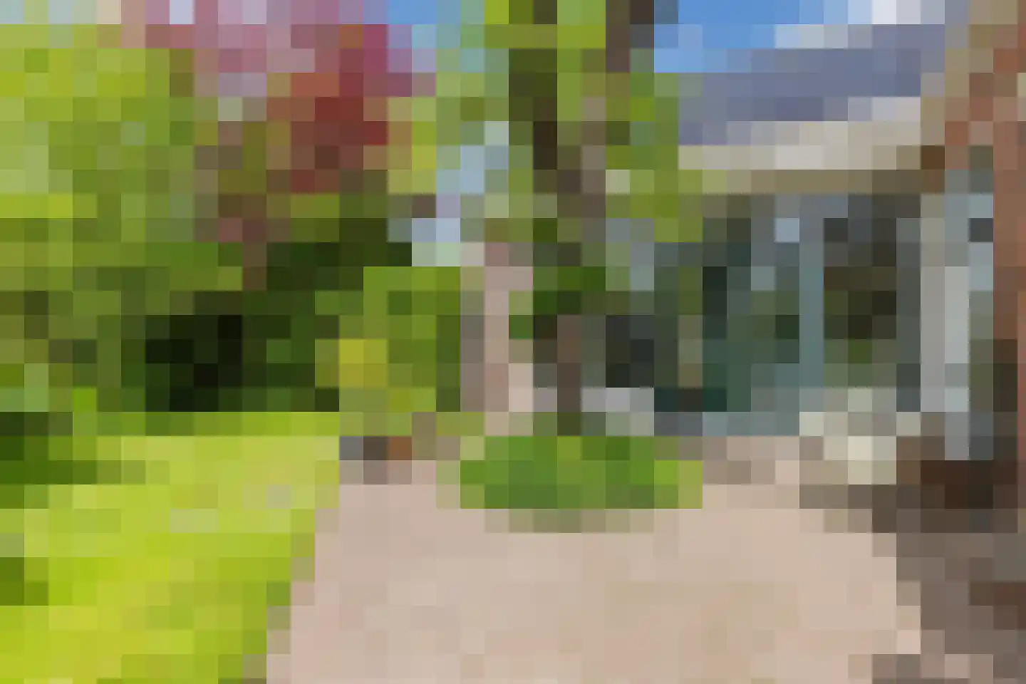 Regnerus Meinardystraat 2 Kollum thumbnail 48