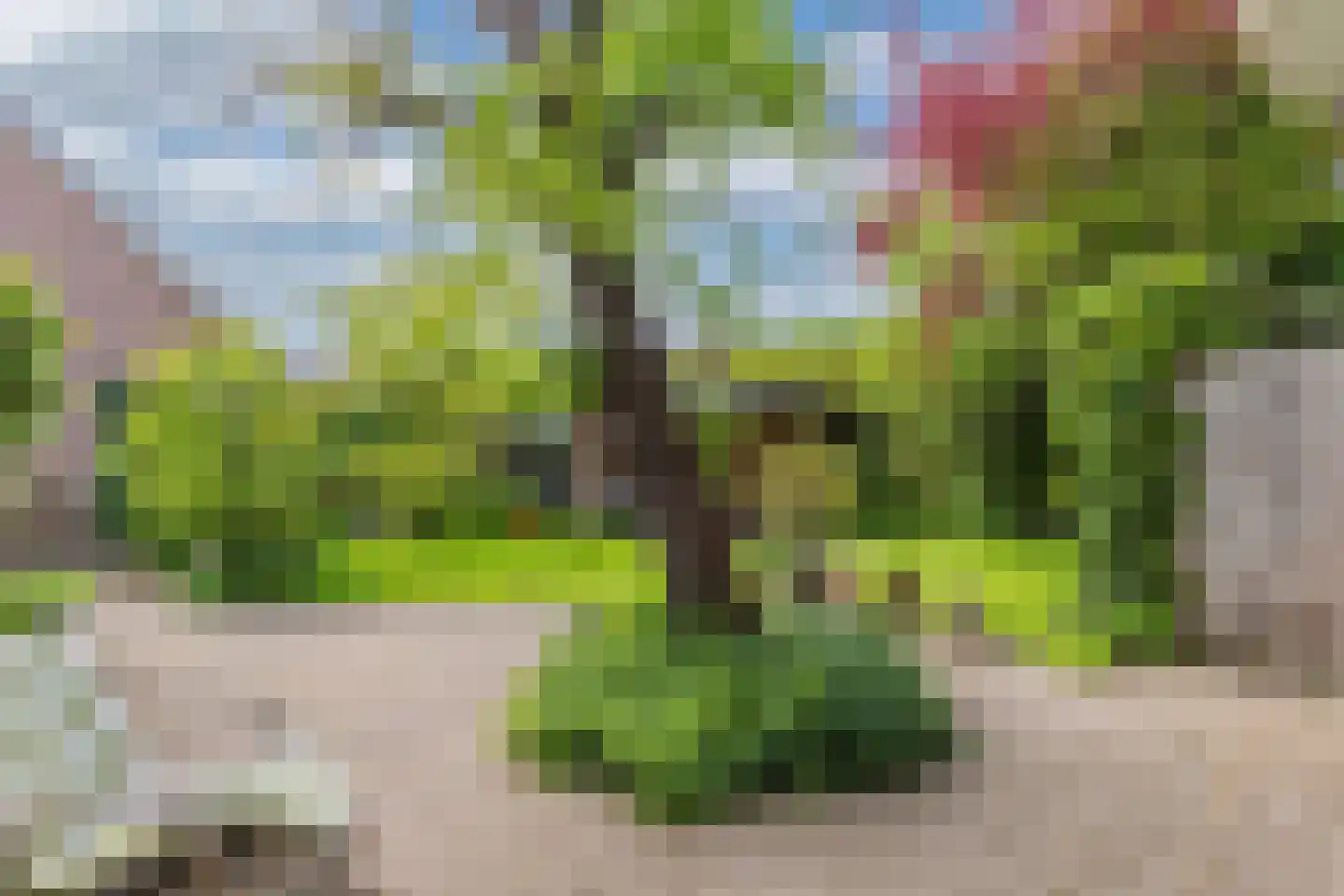 Regnerus Meinardystraat 2 Kollum thumbnail 49