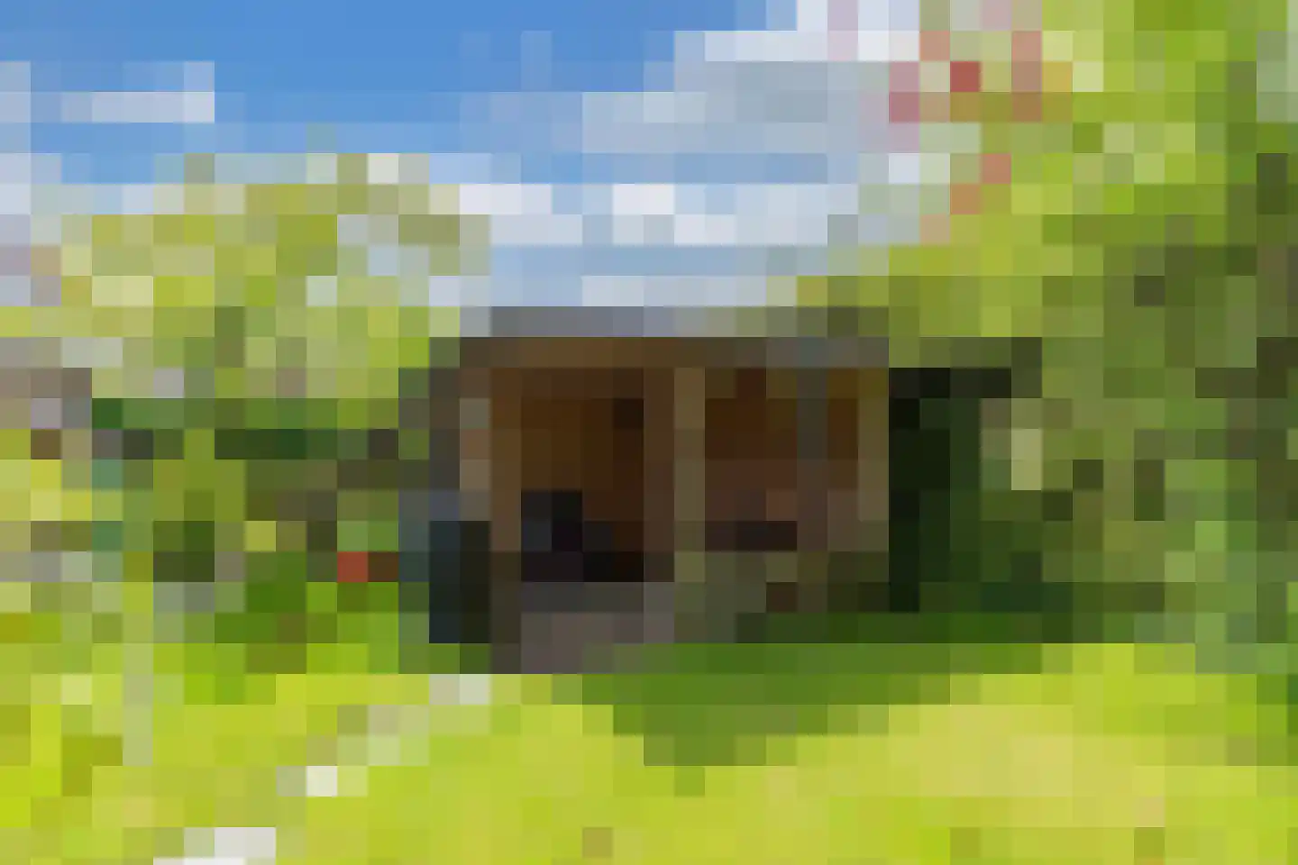 Regnerus Meinardystraat 2 Kollum thumbnail 51