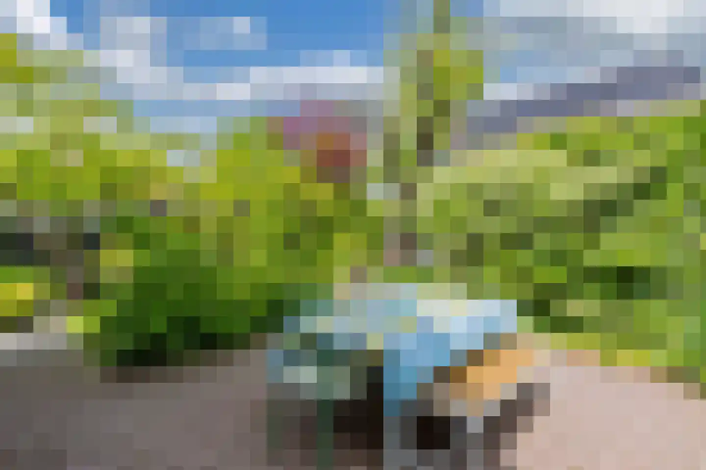 Regnerus Meinardystraat 2 Kollum thumbnail 53