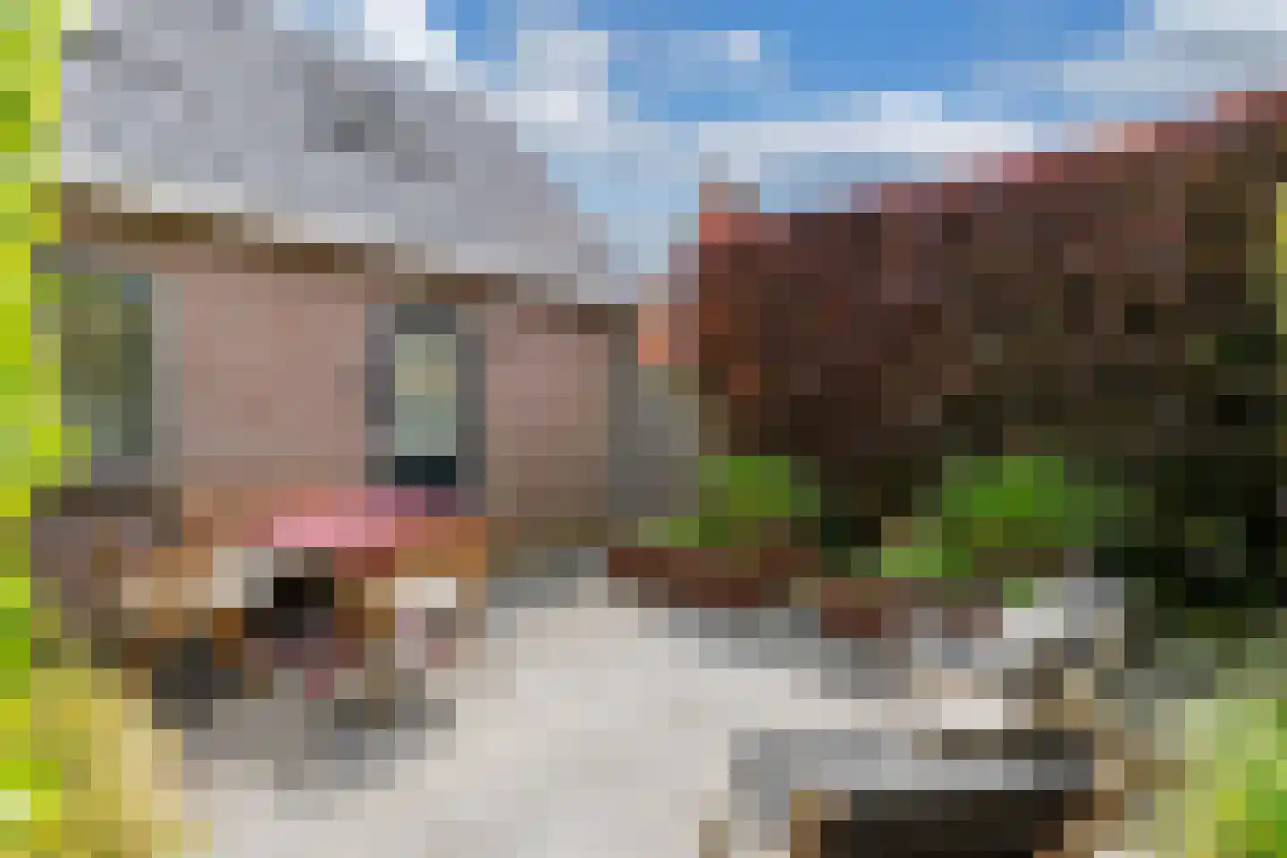 Regnerus Meinardystraat 2 Kollum thumbnail 54