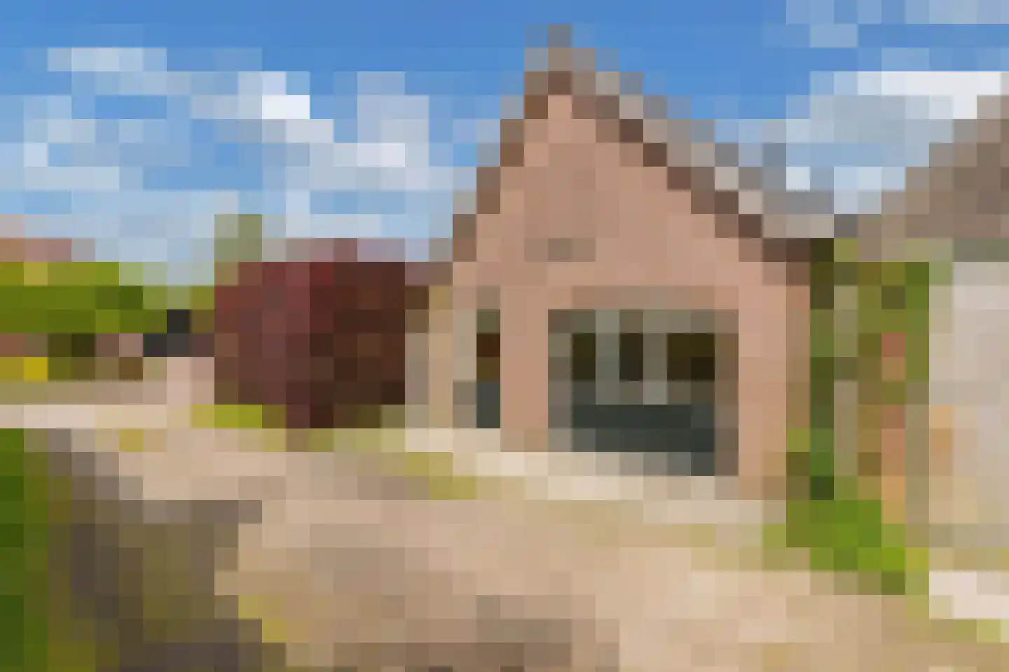 Regnerus Meinardystraat 2 Kollum thumbnail 59
