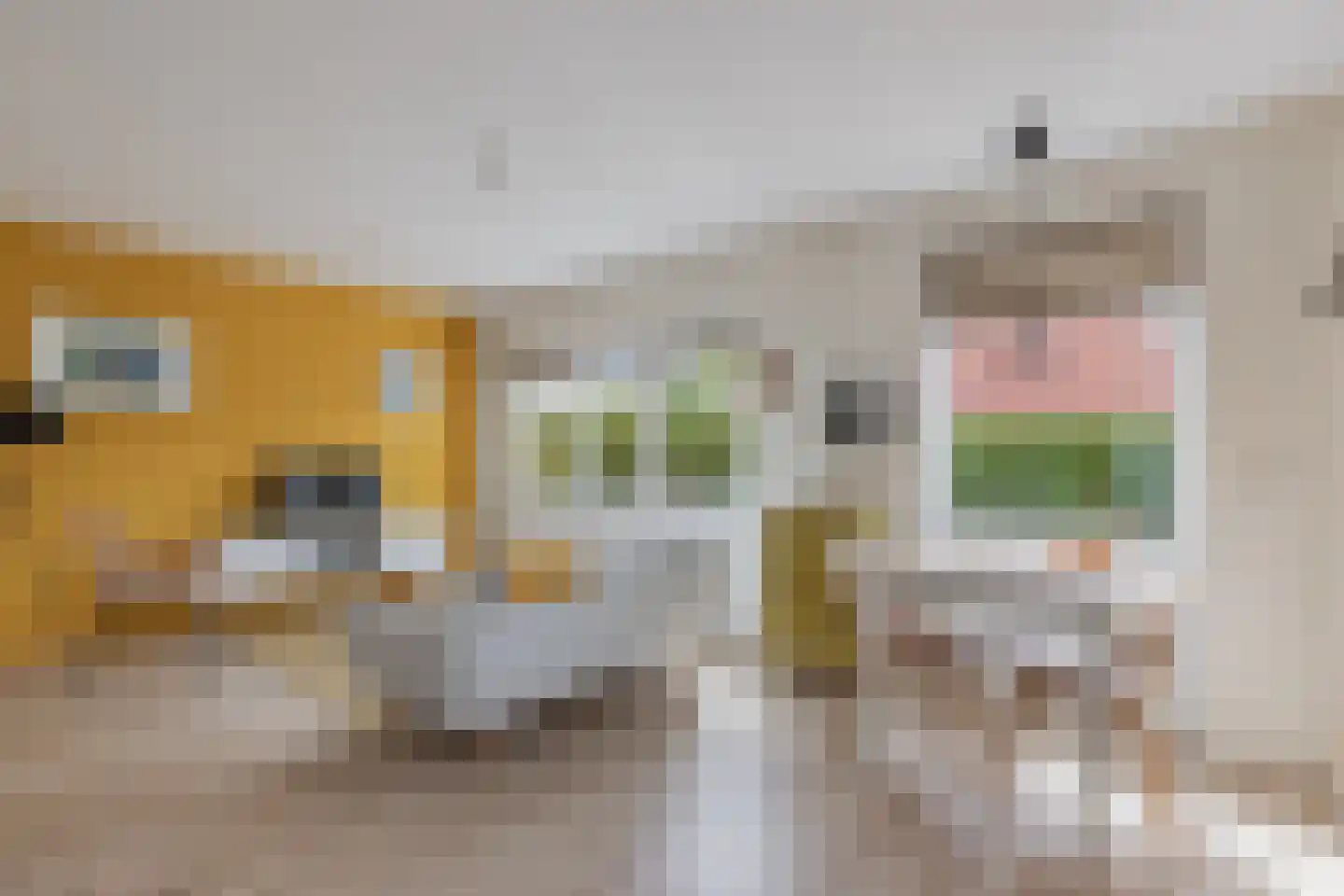 Regnerus Meinardystraat 2 Kollum thumbnail 61