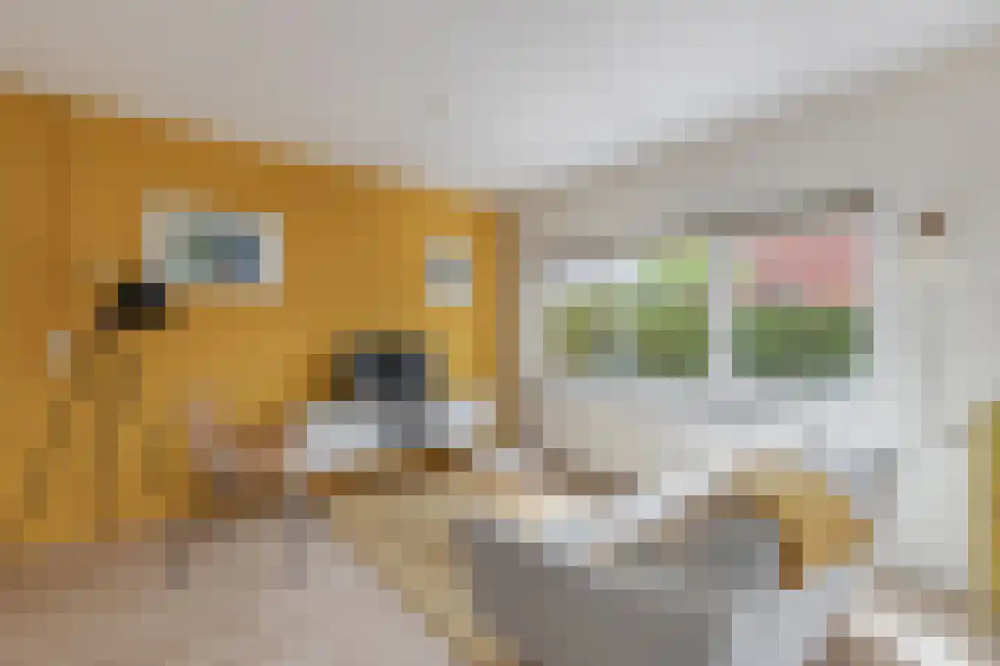 Regnerus Meinardystraat 2 Kollum thumbnail 62