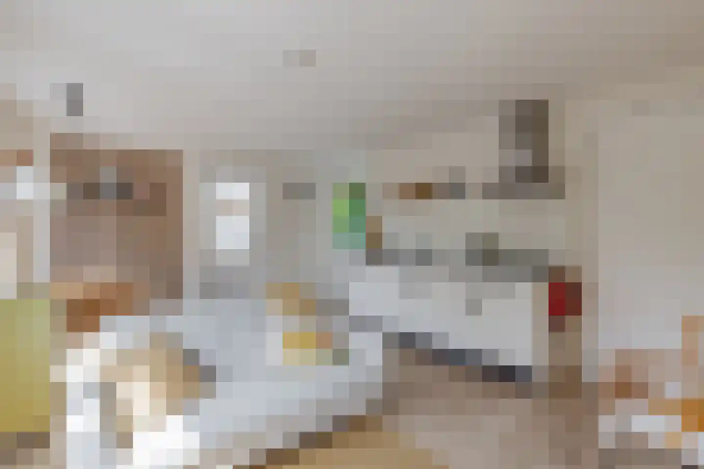 Regnerus Meinardystraat 2 Kollum thumbnail 64