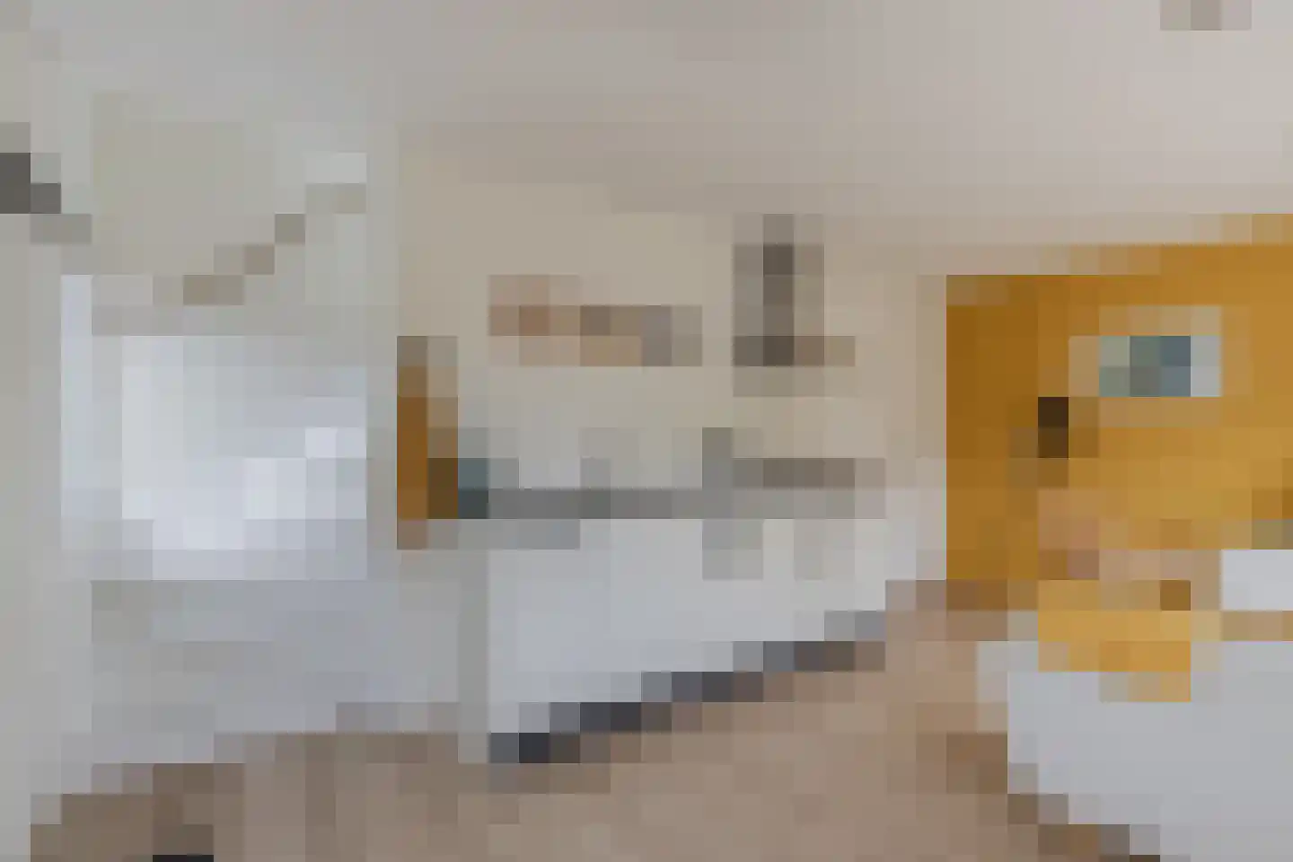 Regnerus Meinardystraat 2 Kollum thumbnail 67
