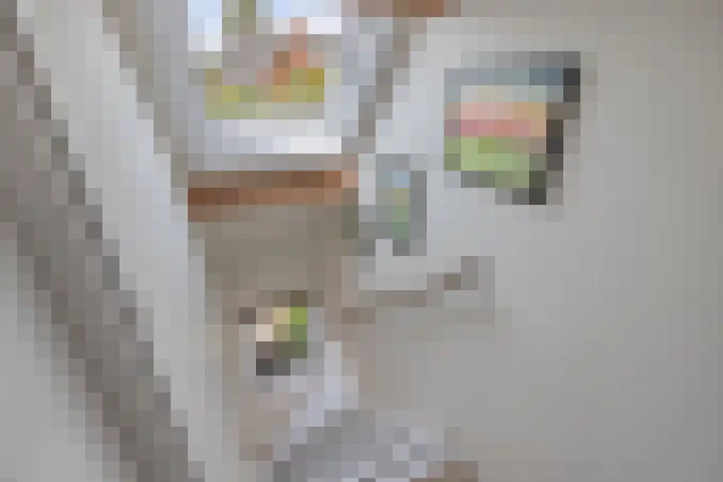 Regnerus Meinardystraat 2 Kollum thumbnail 68