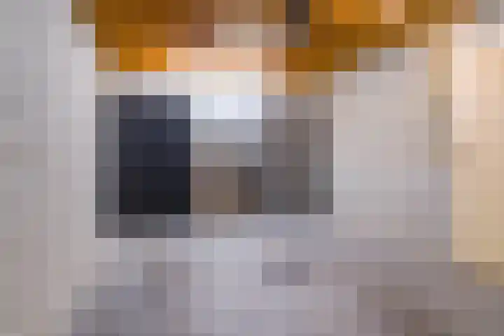 Regnerus Meinardystraat 25 Kollum thumbnail 31