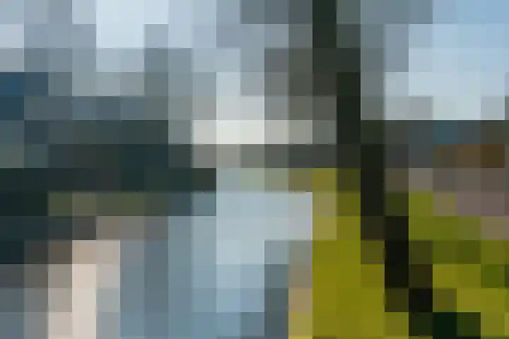 Regnerus Meinardystraat 25 Kollum thumbnail 32