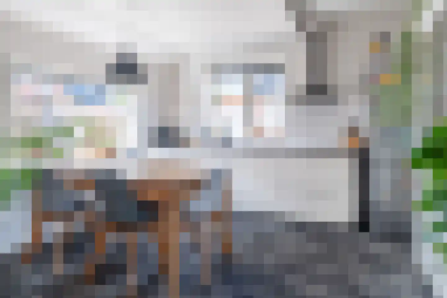 Regnerus Meinardystraat 48 Kollum thumbnail 14
