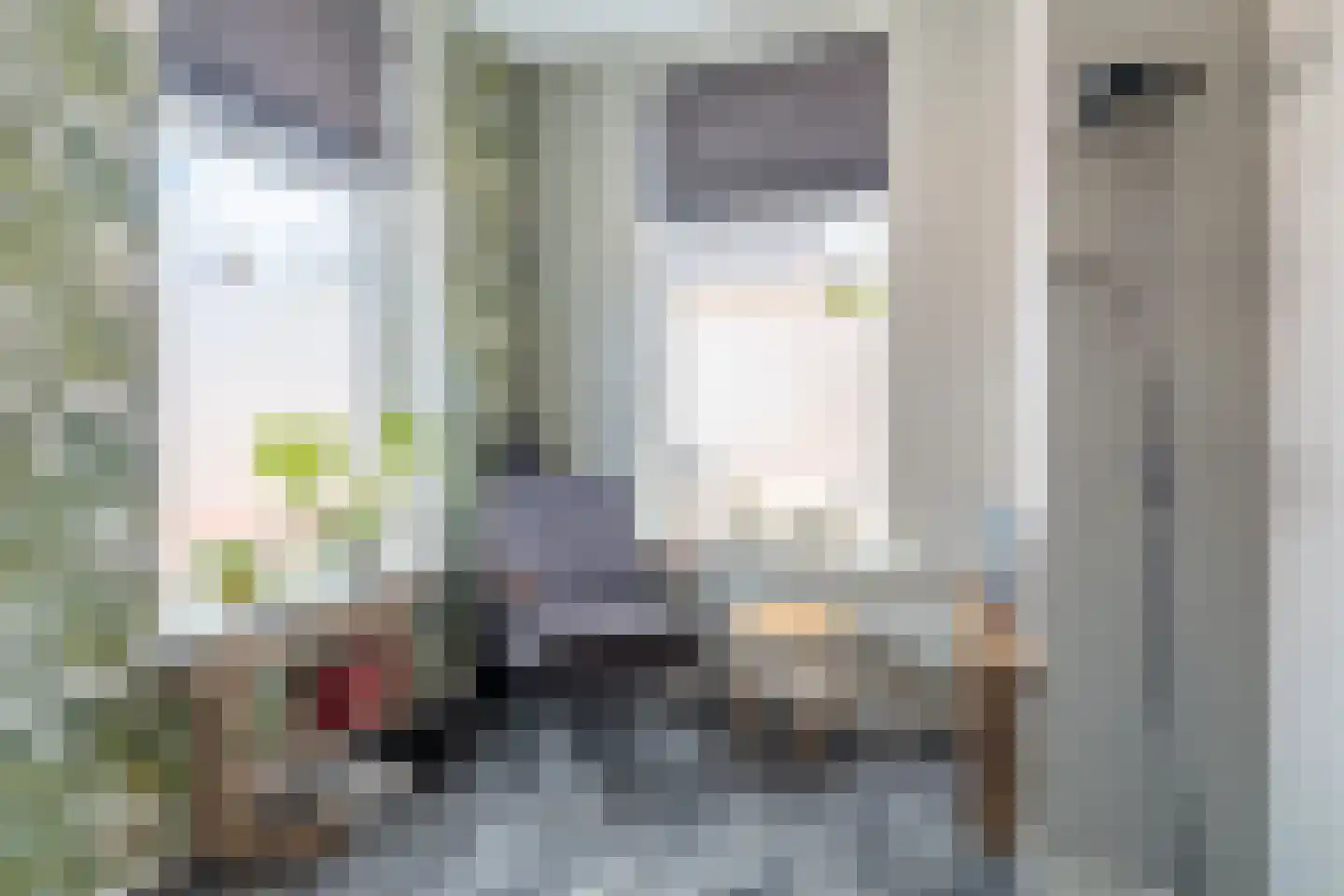 Regnerus Meinardystraat 48 Kollum thumbnail 21