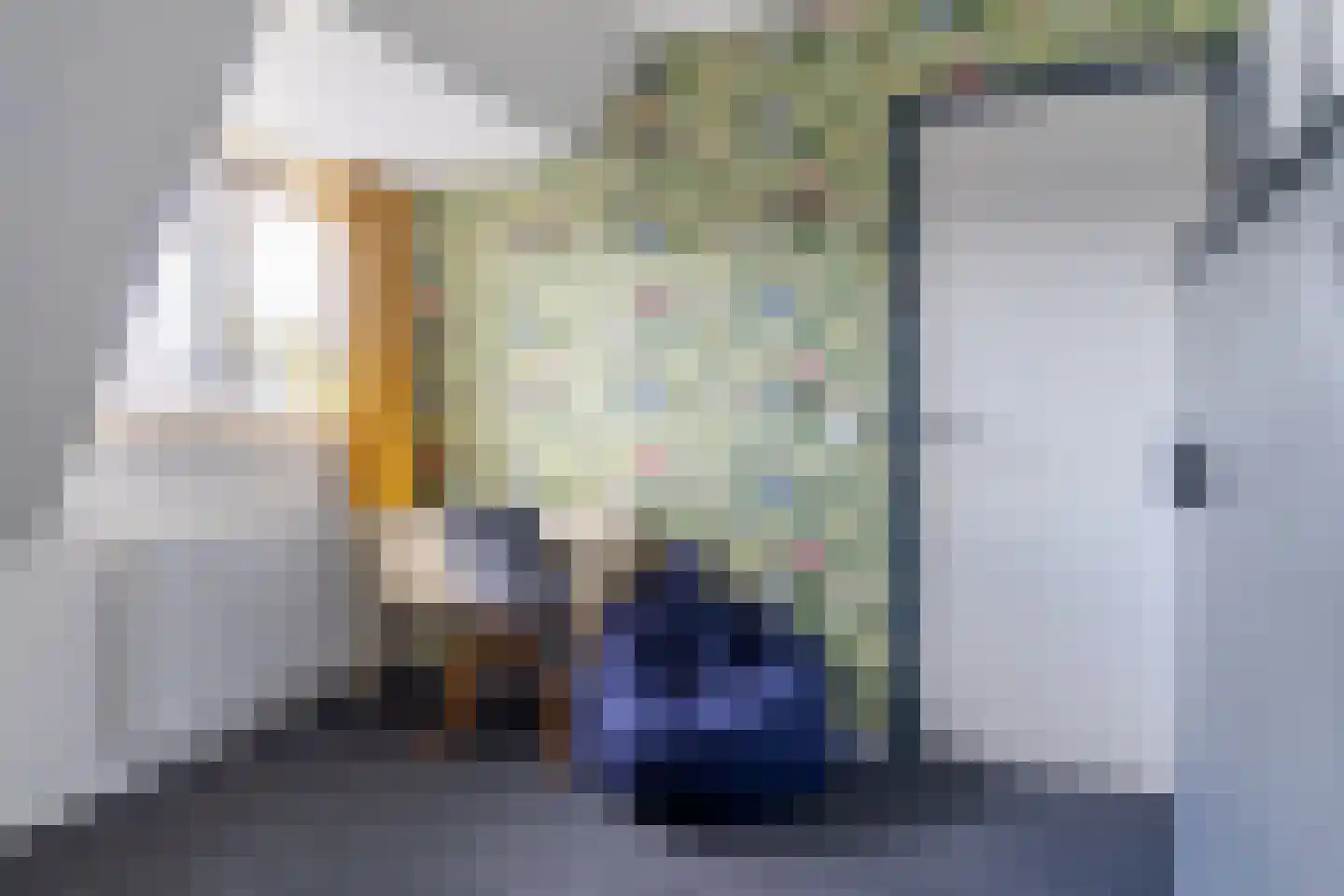 Regnerus Meinardystraat 48 Kollum thumbnail 26