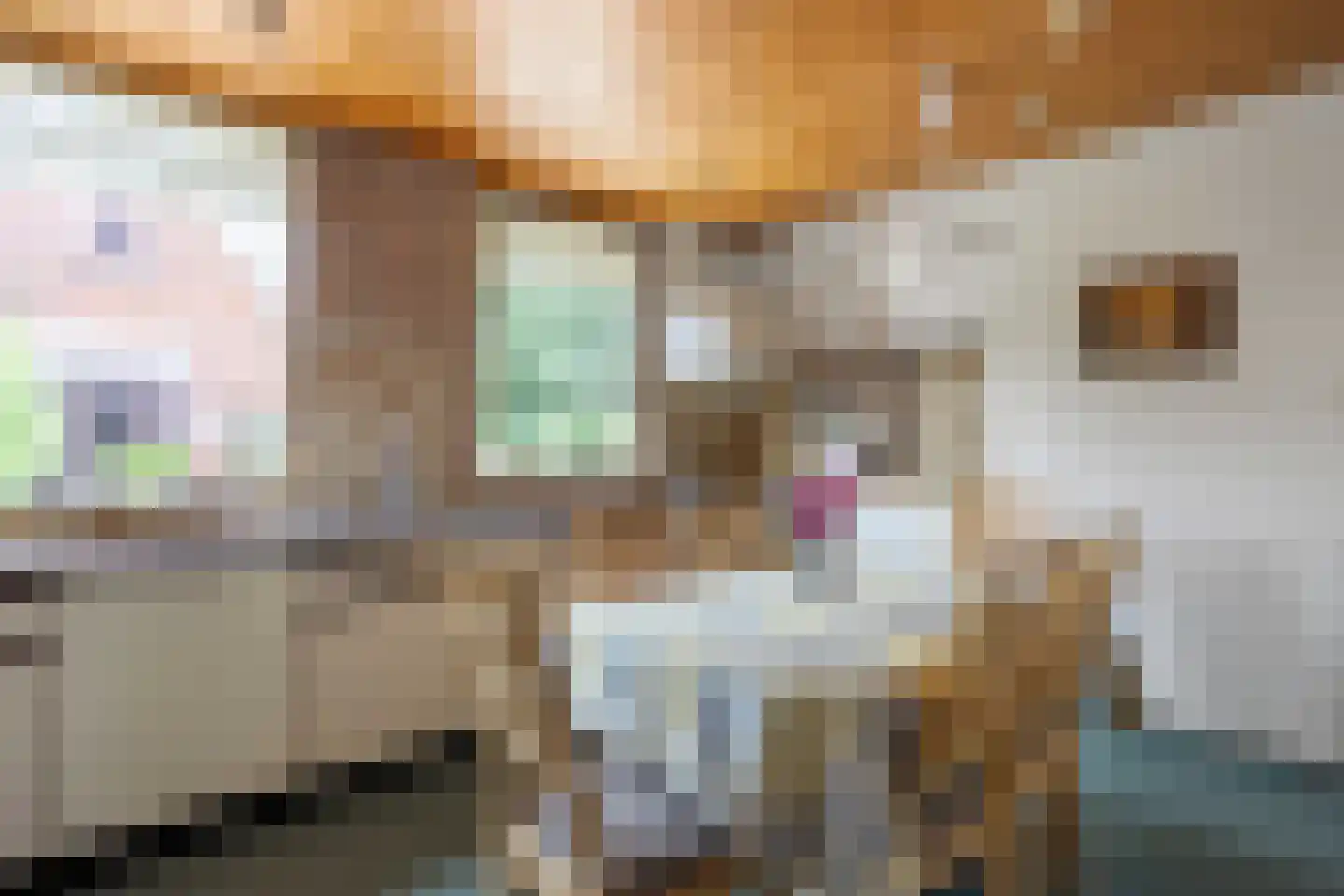 Regnerus Praediniusstraat 13 Winsum thumbnail 11