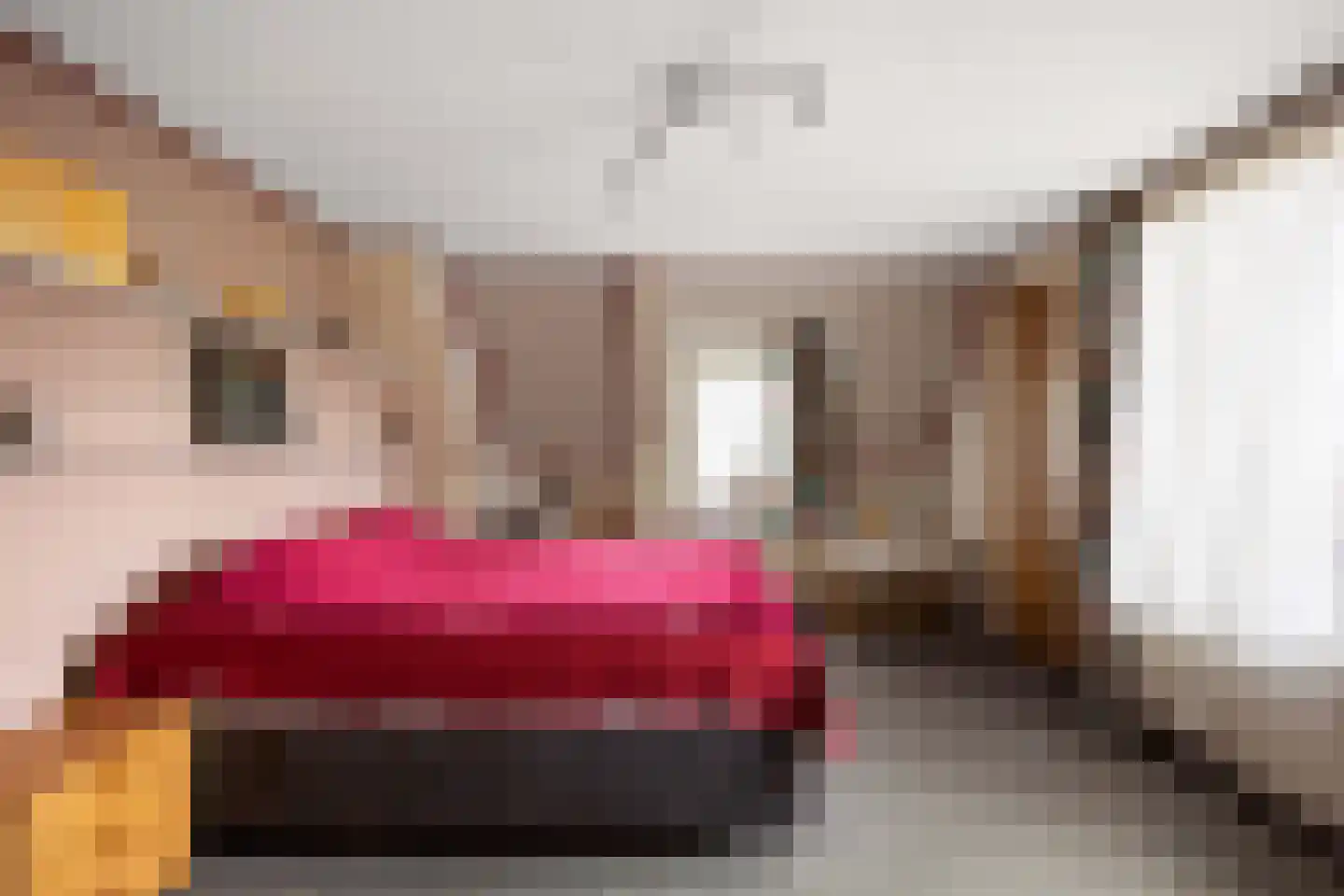Regnerus Praediniusstraat 13 Winsum thumbnail 20