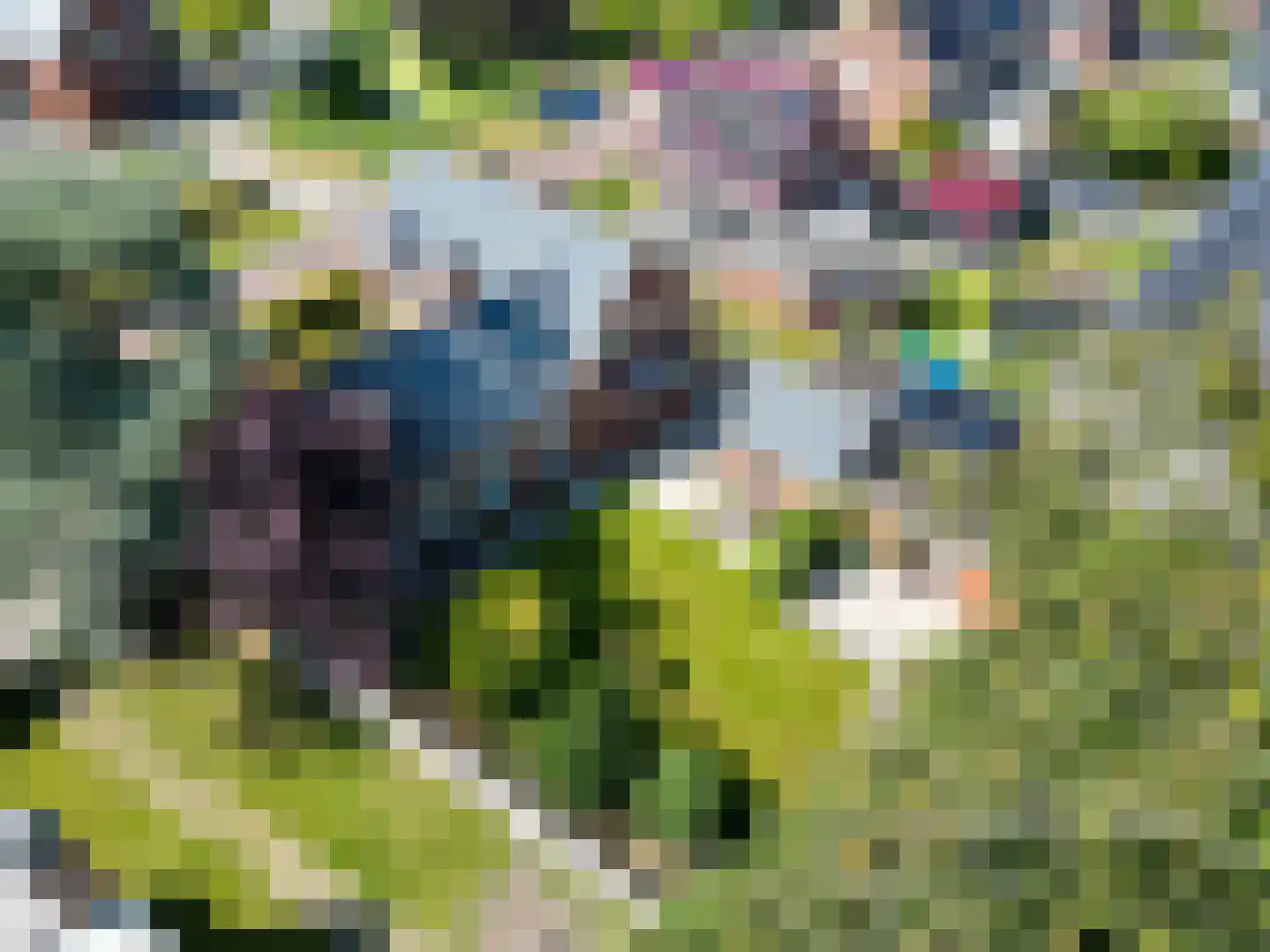 Regnerus Praediniusstraat 13 Winsum thumbnail 37