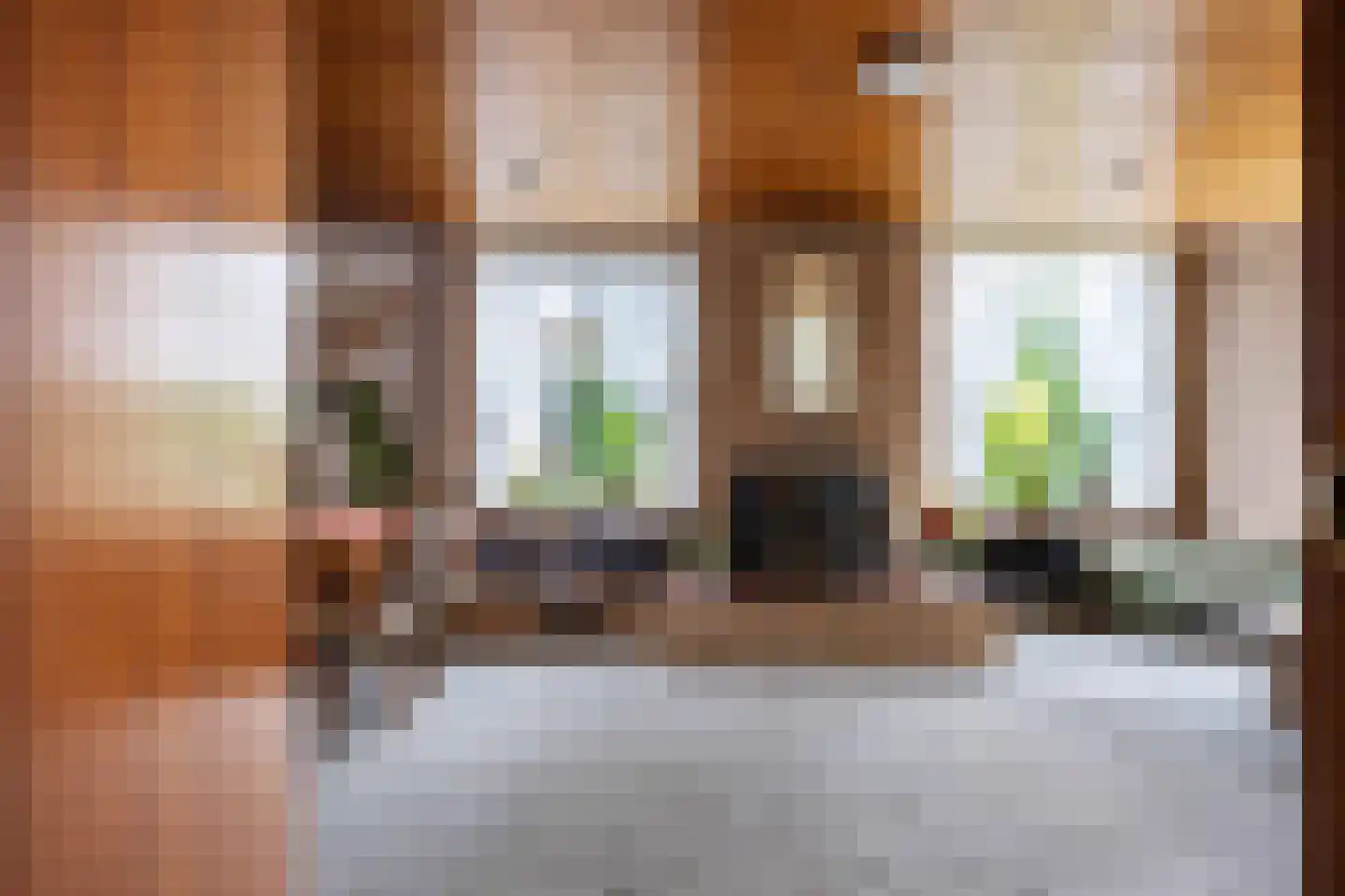 Regnerus Praediniusstraat 13 Winsum thumbnail 5