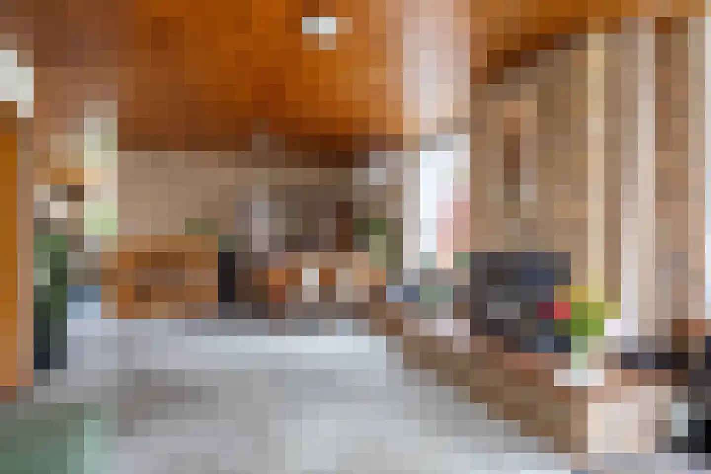 Regnerus Praediniusstraat 13 Winsum thumbnail 6