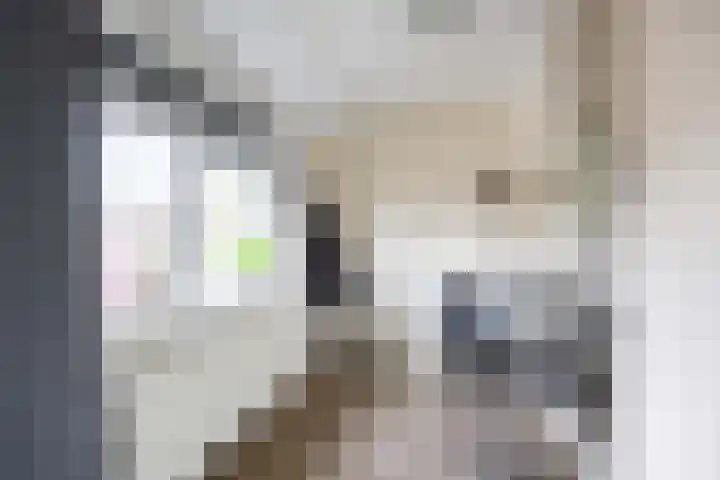 Regnerus Praediniusstraat 20 Winsum thumbnail 22