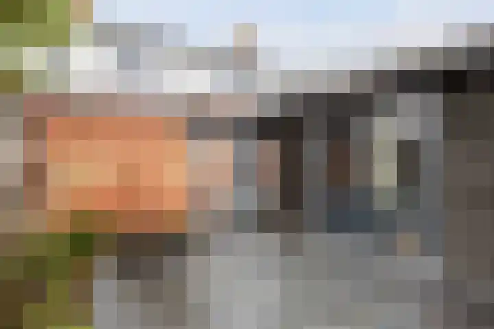 Regnerus Praediniusstraat 20 Winsum thumbnail 29
