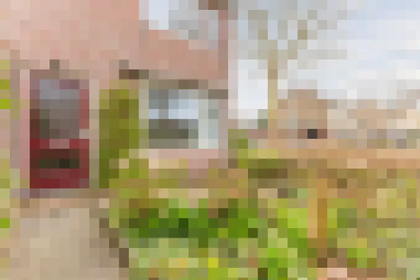 Regthuisstraat 2 Oudkarspel thumbnail 36