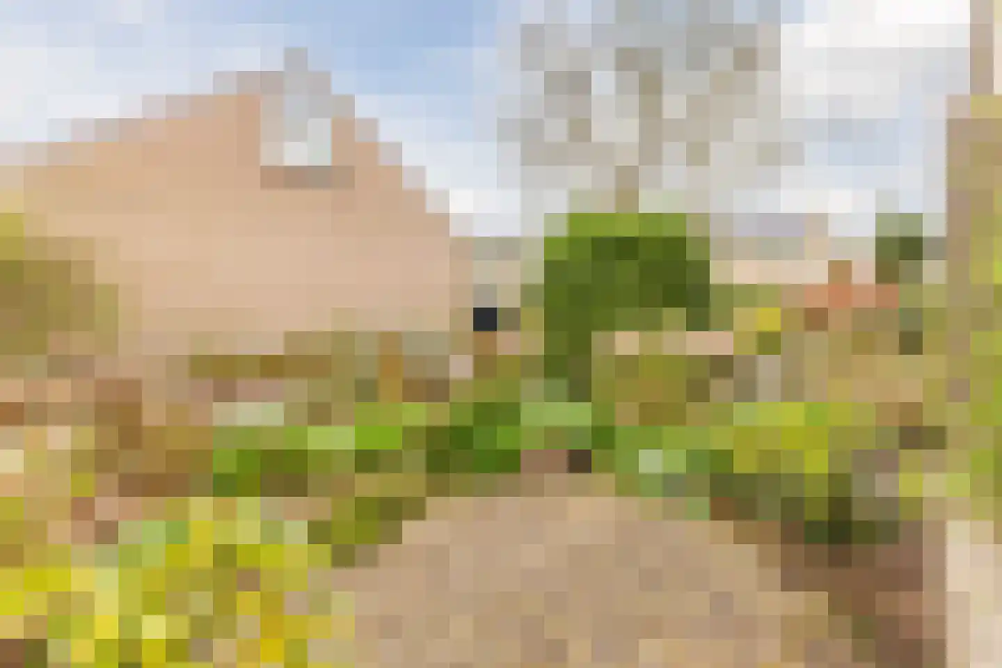 Regthuisstraat 2 Oudkarspel thumbnail 37