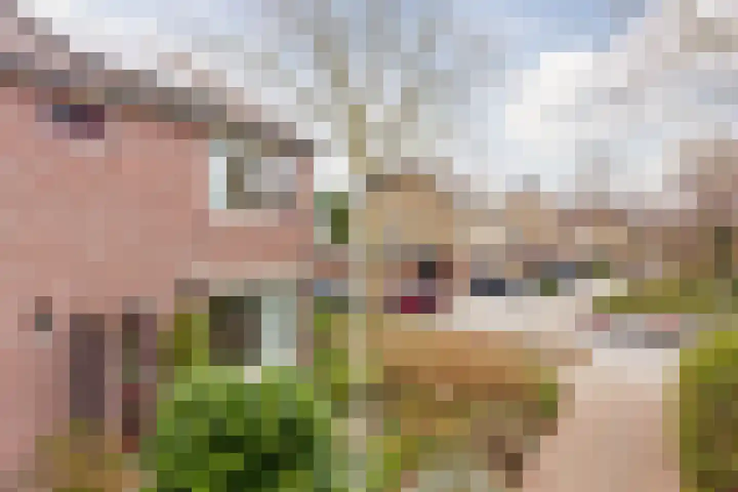 Regthuisstraat 2 Oudkarspel thumbnail 38